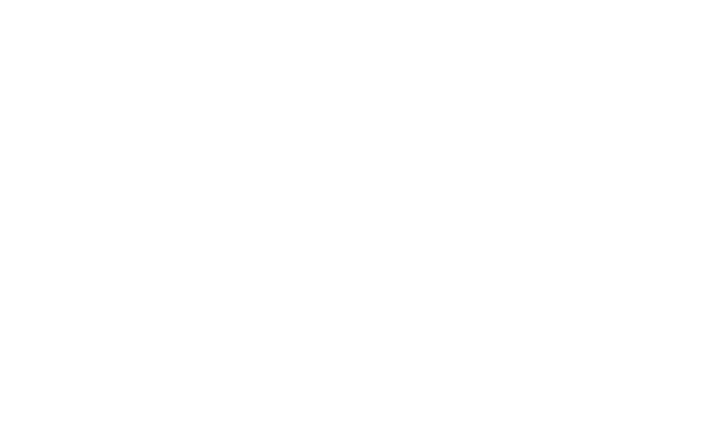 alternative